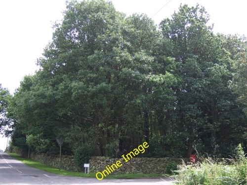 Photo 6x4 woodland priory - photo,