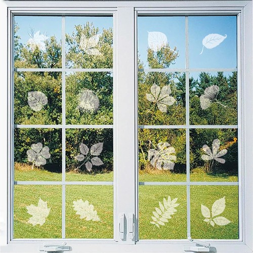 Window bird strike decals - strike,