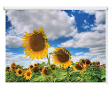 Sunflower Field Printed