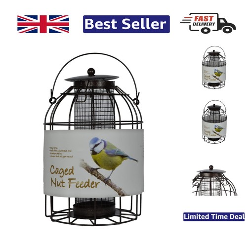 Stylish dome caged peanut - dome,