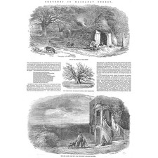 ESSEX Scenes in Hainault