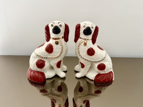 Vintage staffordshire spaniel - vintage,
