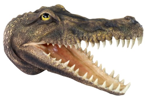 43cm crocodile head - wall, art