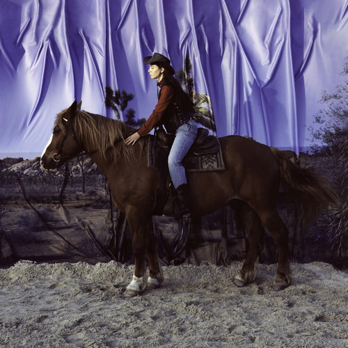 The holy motors horse - holy,