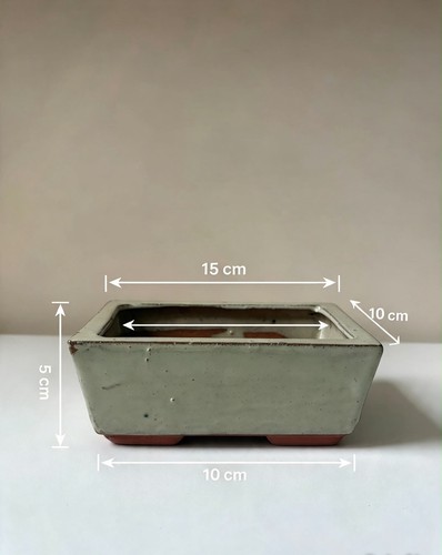 Handmade ceramic bonsai - bonsai, pot