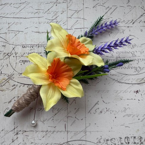 Scottish welsh daffodil - welsh,