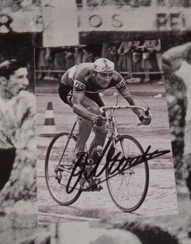 Autograph eddy merckx - eddy,