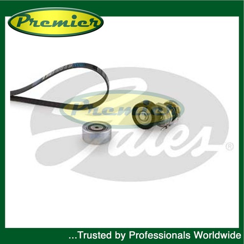 Premier alternator drive belt - premier,