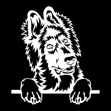 German Shepherd Puppy Dog Face