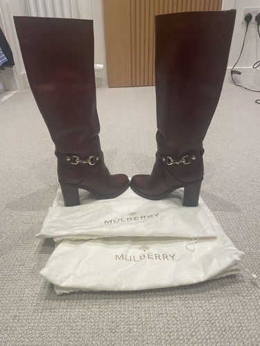 Mulberry chestnut knee - mulberry,