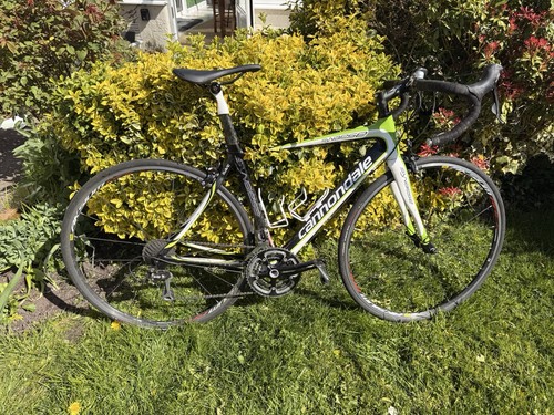 Cannondale synapse carbon - synapse, road