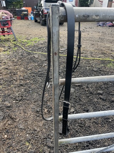 Shires hunter weight thick - shires,