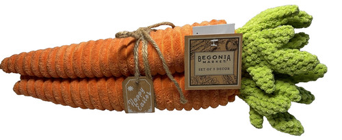 Begonia market carrots - begonia,