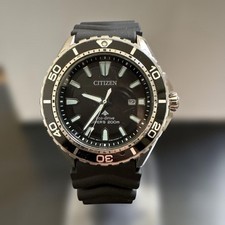Citizen ProMaster Diver Watch