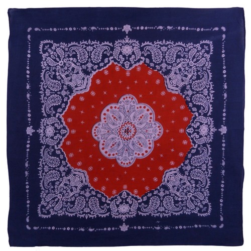 Two tone paisley - two,
