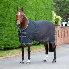 Shires Tempest Original