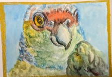 ACEO Original watercolor