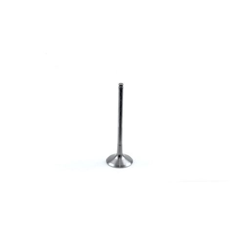 Athena exhaust valve - athena,