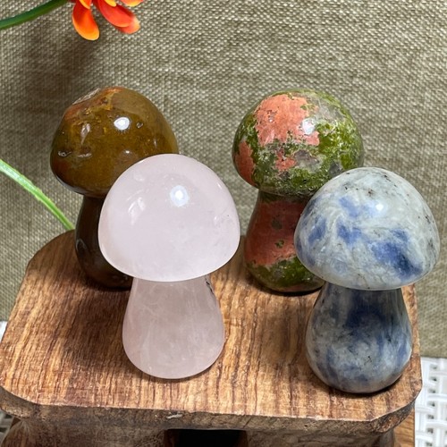 4pcs mushroom stone - , carved