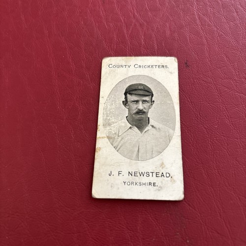 Taddy county cricketers - taddy-county,