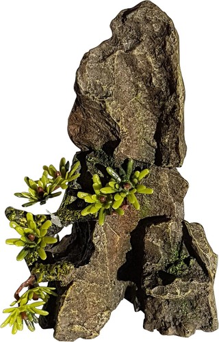 Small rock outcrop aquarium - outcrop,