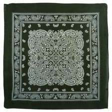 XL Montana Paisley Bandana