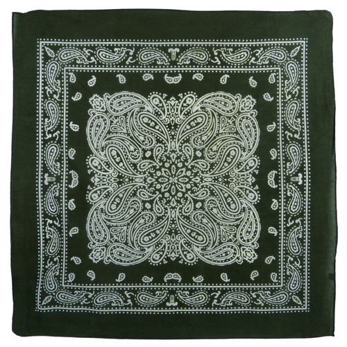 Montana paisley bandana - montana,