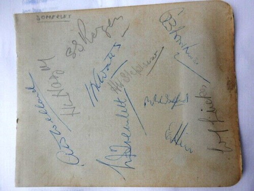 Somerset cricket club players - somerset,
