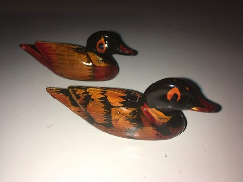 Fengshui mandarin duck - mandarin, pair