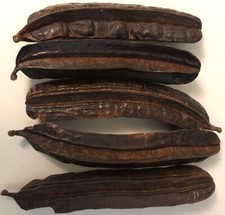 5 Fresh Ghana PREKESE PODS