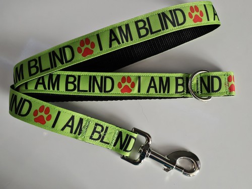 Blind inspired design - inspired,