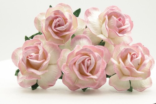 Mulberry paper roses flowers - roses,