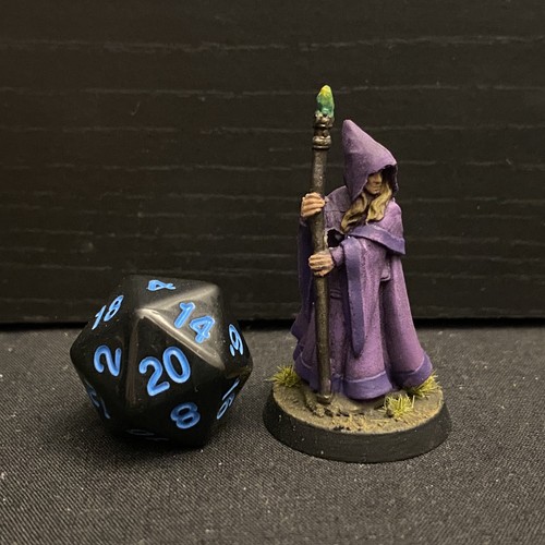Human wizard mage dungeons and - mage,