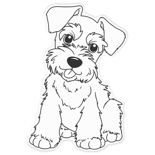 Schnauzer puppy white - 'schnauzer, puppy'