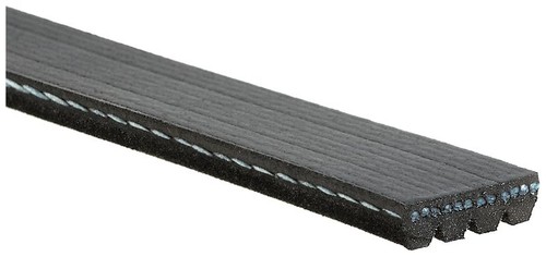 Fits gates 4pk928 ribbed - gates,