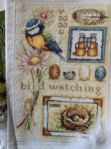 Anchor bird watching blue - anchor,