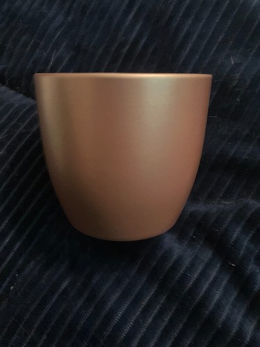 Small gold succulent