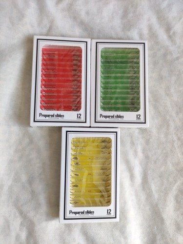 Prepared microscope slides - 36,