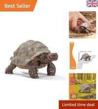 Lifelike galapagos tortoise - galapagos,