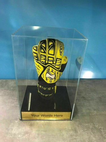 Goalie glove display case - goalie,