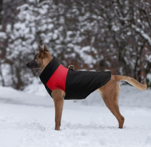 Dog winter coat - winter, waterproof