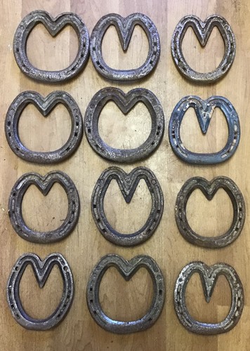 Real horseshoe heart - real,