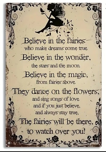 Believe the fairies magic - fairies, &