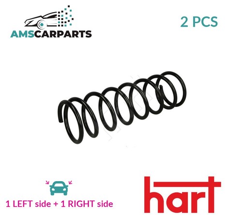 Coil spring pair set rear - coil,