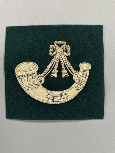 Light infantry veterans silver - veterans,