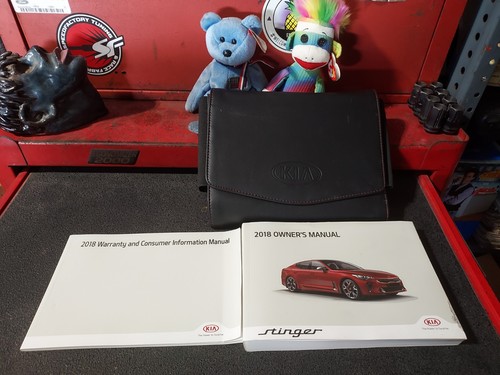 2018 kia stinger owners - 2018,