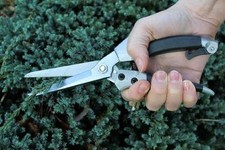 Darlac DP44 Compact Hand Shear