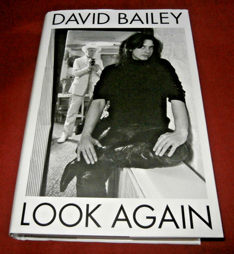 Look again david - again, bailey