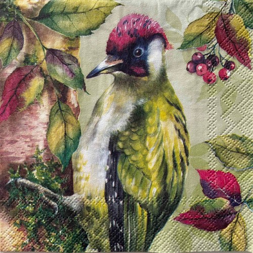 Cocktail paper napkins for - 2, x