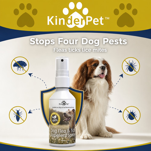 Natural dog flea - dog,